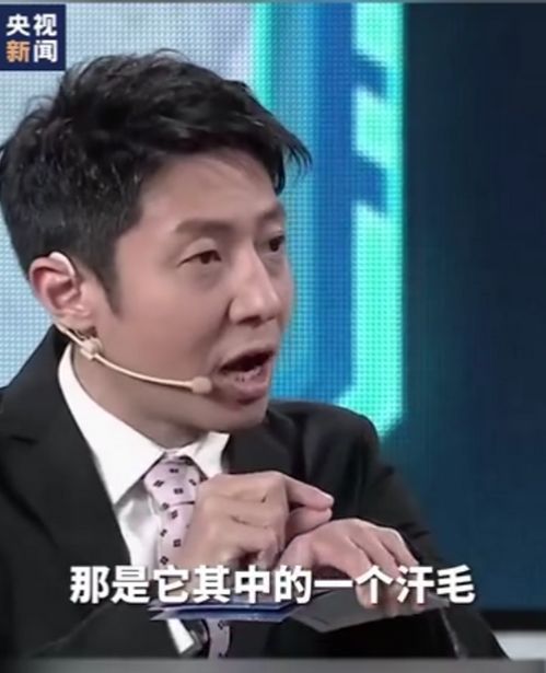世界上最大的蘑菇长了2800多年 萨贝宁惊呆了 世界上最大的蘑菇已经活了2400岁