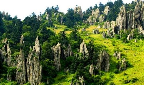 为什么神堂湾一直被列为禁区?最常见的原因是它与一个神秘的声音 神堂湾为什么是禁区