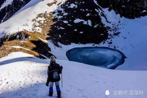 喜马拉雅山雪怪的一般外观就像猿,白发,大约3米高,大脚,全身 喜马拉雅山雪怪的图片