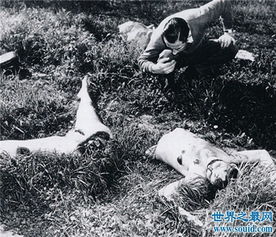 黑色大丽花悲剧 这是二战后最著名的悬案
