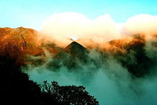 四川黑竹沟的谜团,准备随时吞噬擅自进入的人 四川黑竹沟景区