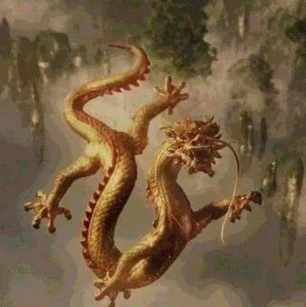 为什么人们总是说世界上有龙?龙从何而来? 为什么人们总是说女人头发长见识短