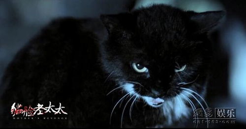 80后应该听说过哈尔滨猫脸老太太95年的事件