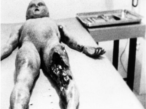 7名外星人的真实照片和事件 古代外星人真实记载