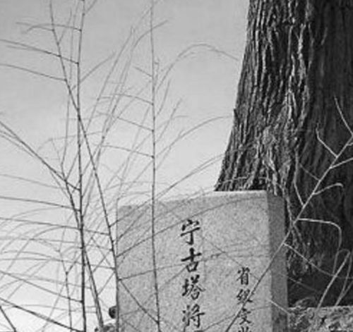 古代刑罚中最残忍的杀戮 这种惩罚字面上意味着直接杀人 描写中国古代残忍刑罚的书