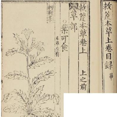 谁编的救荒本草是什么时候的? 救荒本草是什么朝代的