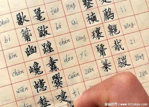小化妆带你了解这些单词的读法