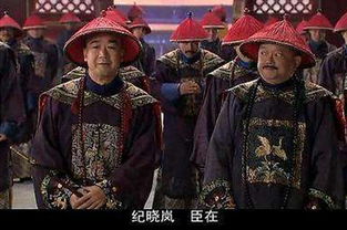 古代包衣是什么意思?为什么说这是清朝才有的一个词? 古代包衣出身是什么意思