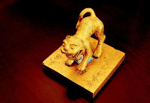 这个遗址里有什么宝藏? 沉银遗址张献忠 该遗址的准确位置