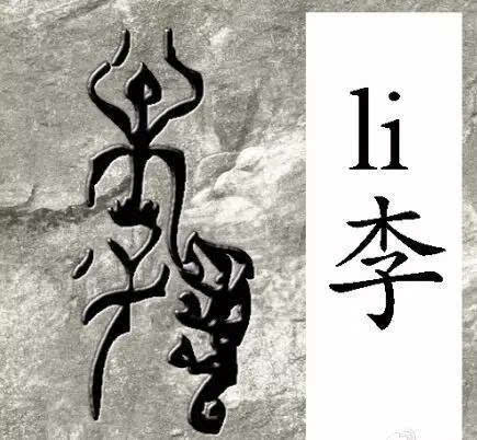 李姓的历史名人是什么? 李姓的来源和历史名人和现状