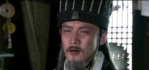 相反,他是蜀汉后期的重要将军之一
