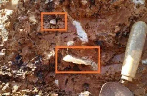 人类石器时代的发展经历了三个阶段 人类一败涂地石器时代