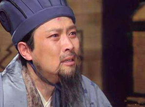 诸葛生叛军被杀,但他的前孙司马瑞成为了东晋的开国皇帝