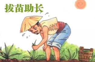 拔苗助长的故事 这个道理也很简单