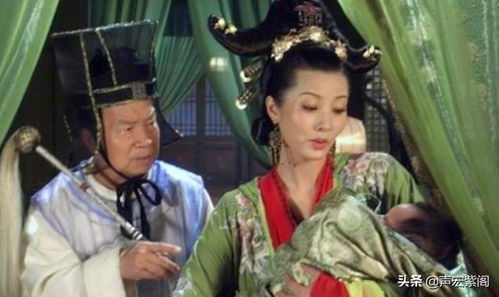 狸猫换王子的历史真相是什么