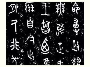 夫妻是什么意思?怎么读? 这个词的意思是鼻子堵了,说话模糊(夫妻宫变动是什么意思)