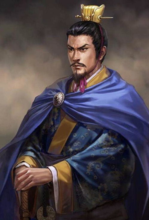 曹冲之死的真相,曹冲于公元208年(建安13年)去世(三国曹冲之死)