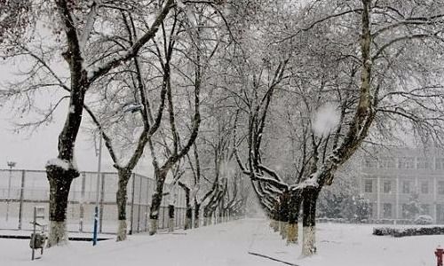 40首描写雪景的唐诗,一起读诗吧(描写雪景的优美段落)