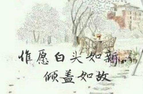 白首如新的意思 有人初次见面却像古人一样