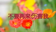 十首最好的老歌,从前奏开始就沉迷于感情,让人感同身受,引起共 十首最好老歌歌词