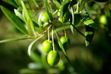 十大公认的虐心小说公认 公认的十大虐心国漫